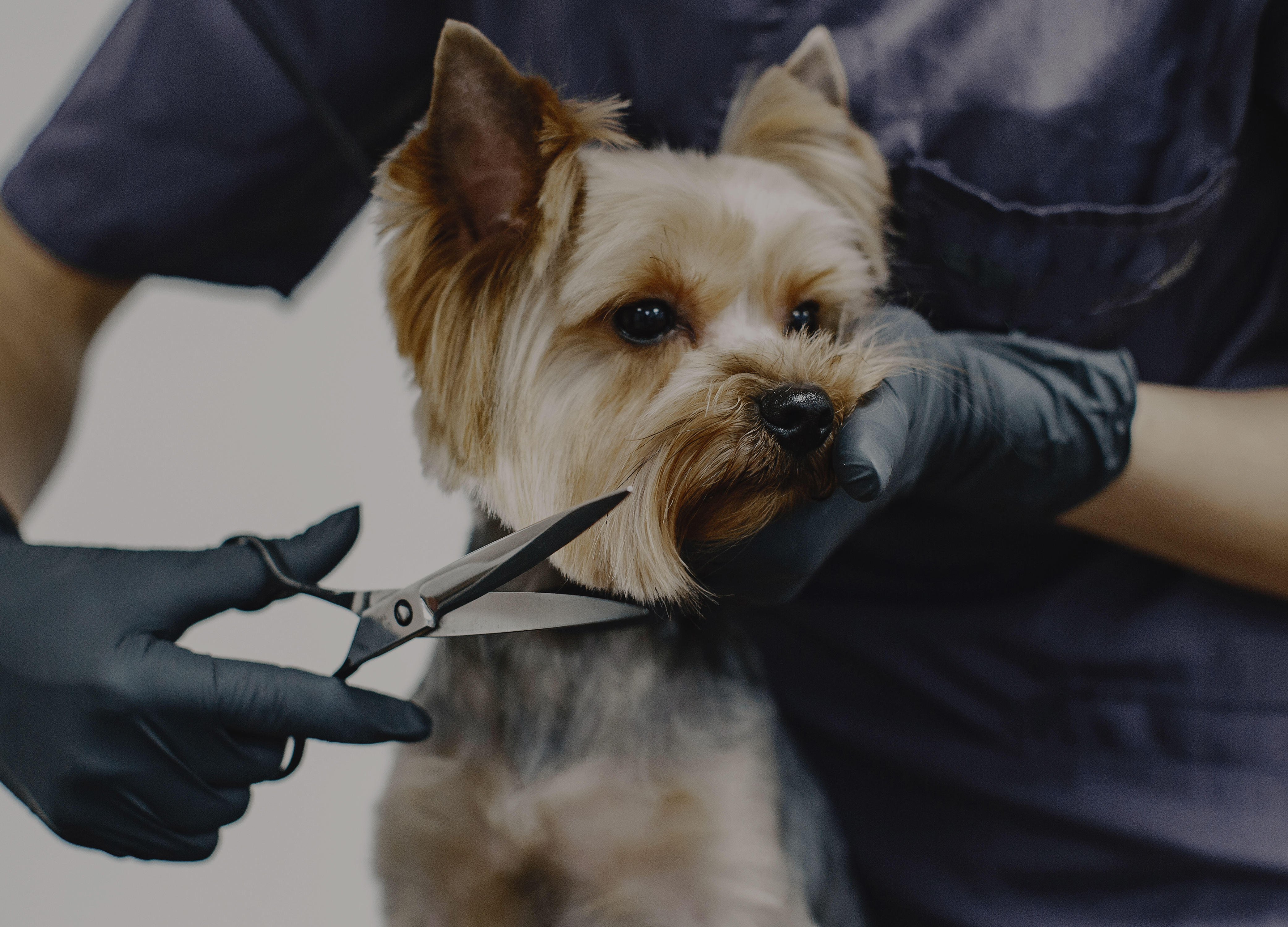 Instalaciones Médicas